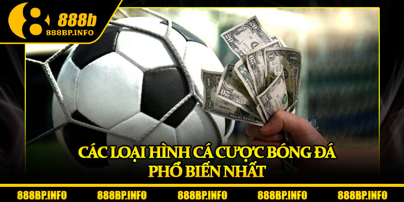 Cá Cược Bóng Đá – Sân Chơi Kèo Hot Dành Cho Bet Thủ 6 Các loại hình cá cược bóng đá phổ biến nhất