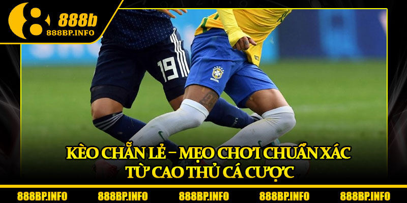 Kèo Chẵn Lẻ – Mẹo Chơi Chuẩn Xác Từ Cao Thủ Cá Cược 4 Kèo Chẵn Lẻ – Mẹo Chơi Chuẩn Xác Từ Cao Thủ Cá Cược