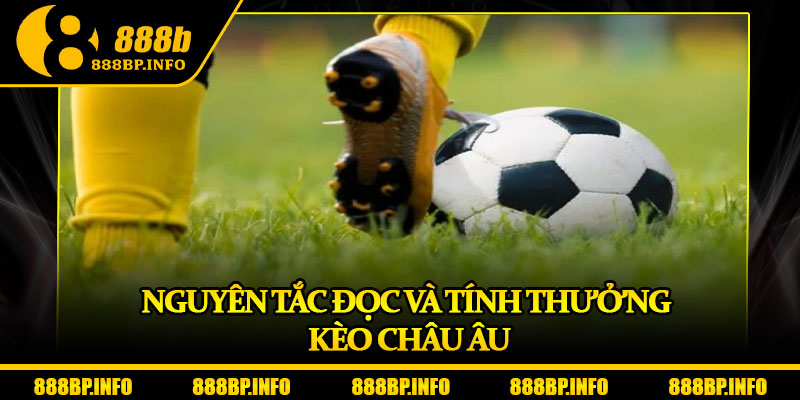 Kèo Châu Âu – Chiến Lược Soi Kèo Đỉnh Cao Tăng Tỷ Lệ Thắng 6 Nguyên tắc đọc và tính thưởng kèo châu Âu